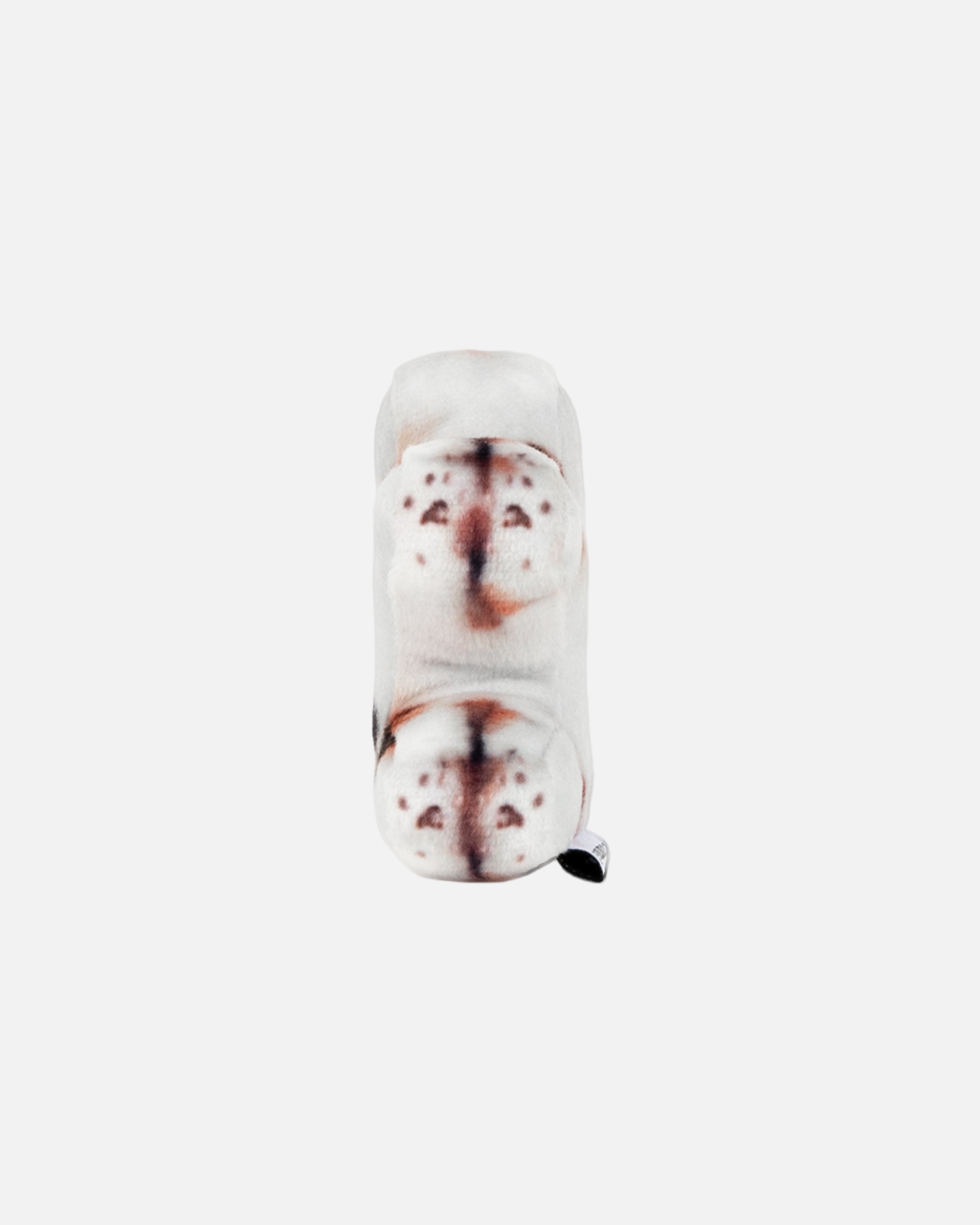 Soft Thumbnail / Jigoo, Domestic Shorthair