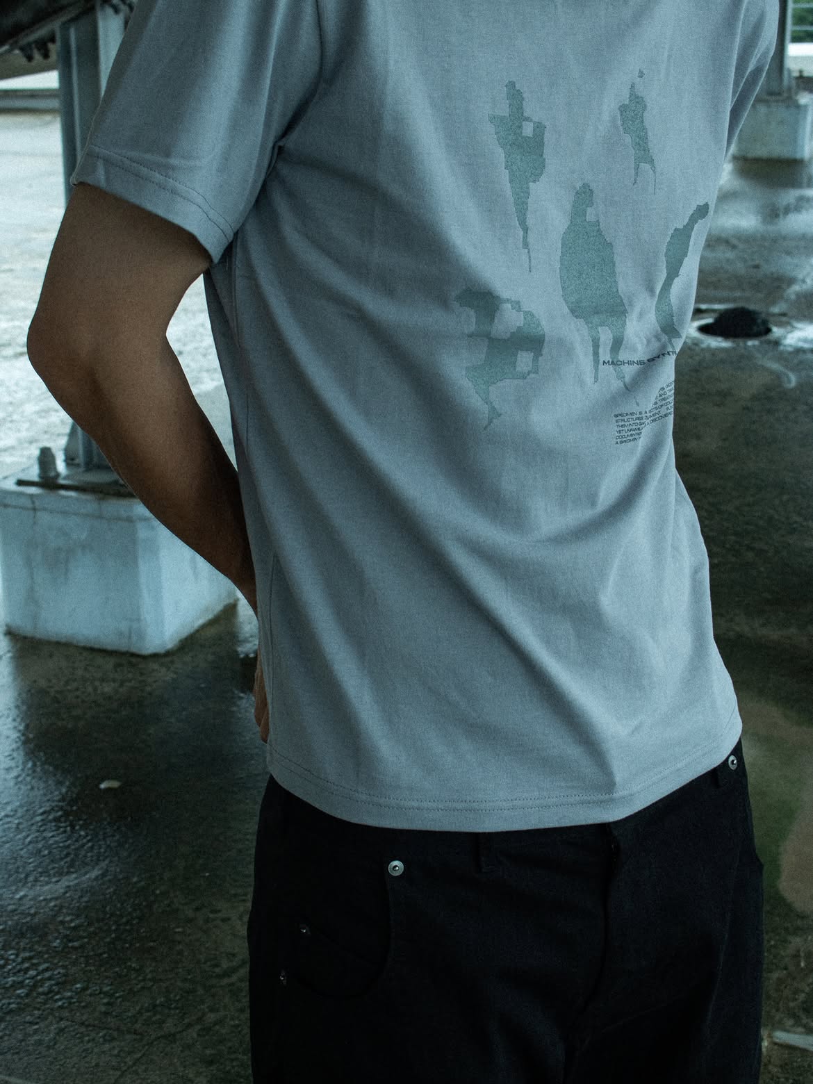 MSC / Prove T-shirt - Gray