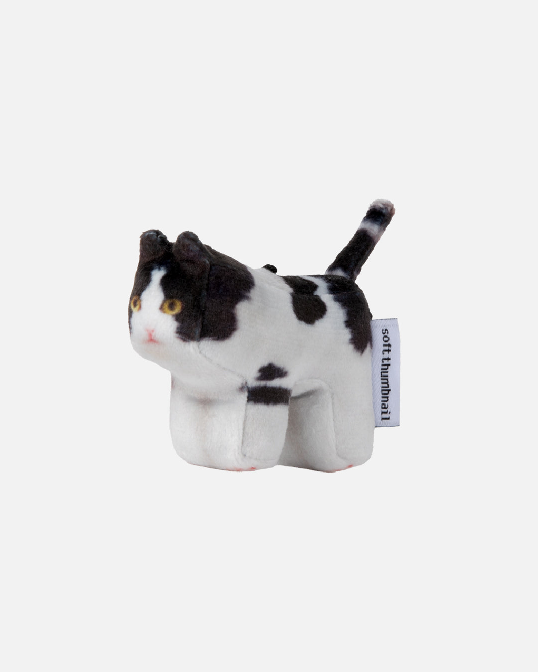 Soft Thumbnail / Mumu, Domestic Shorthair