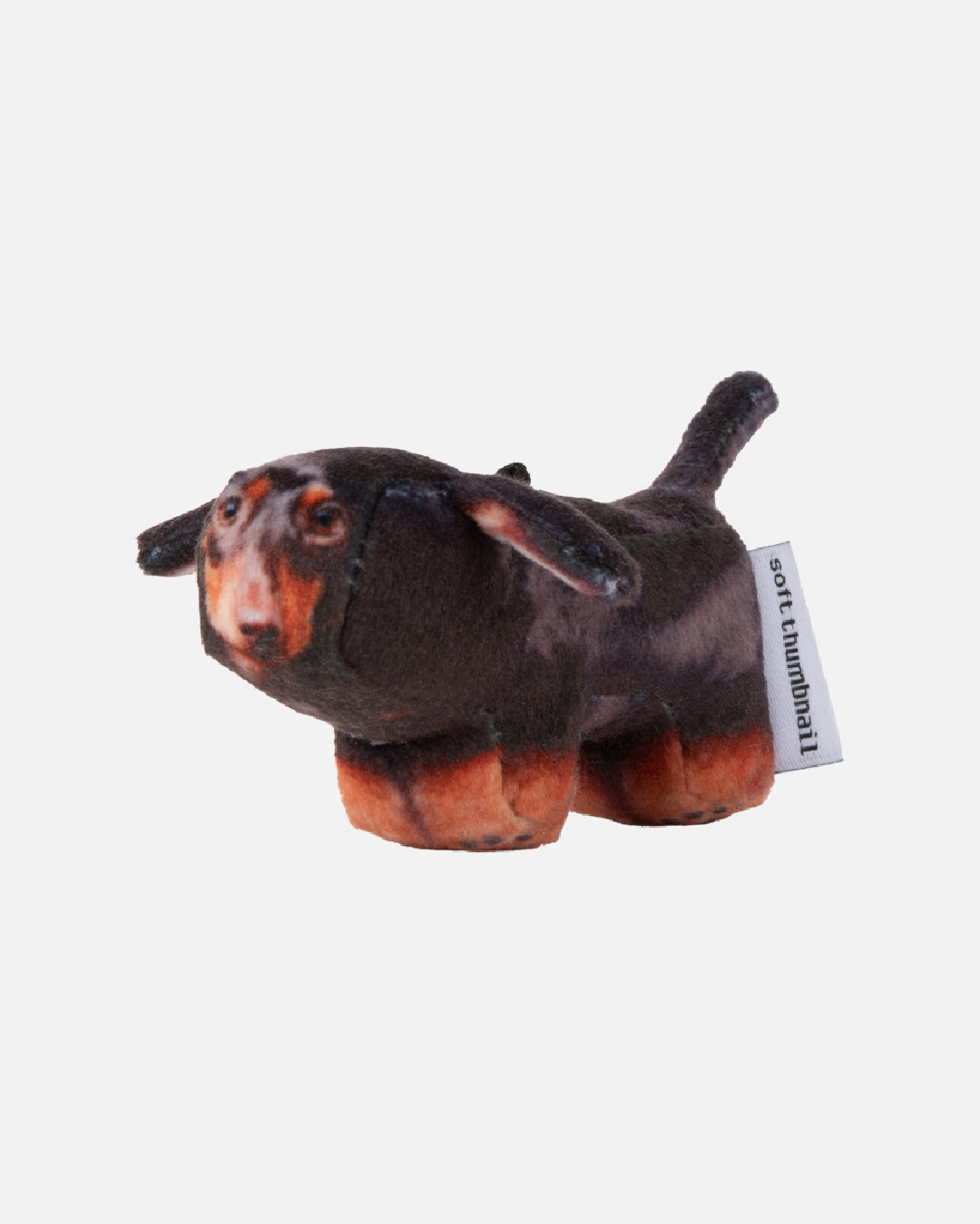 Soft Thumbnail / Duke, Dachshund