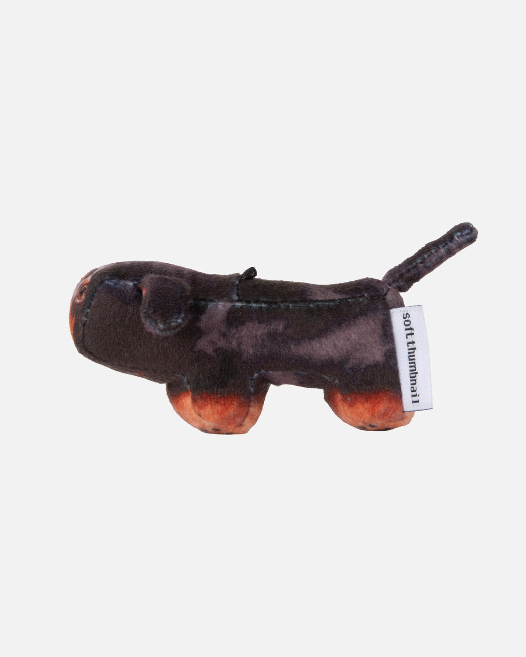 Soft Thumbnail / Duke, Dachshund