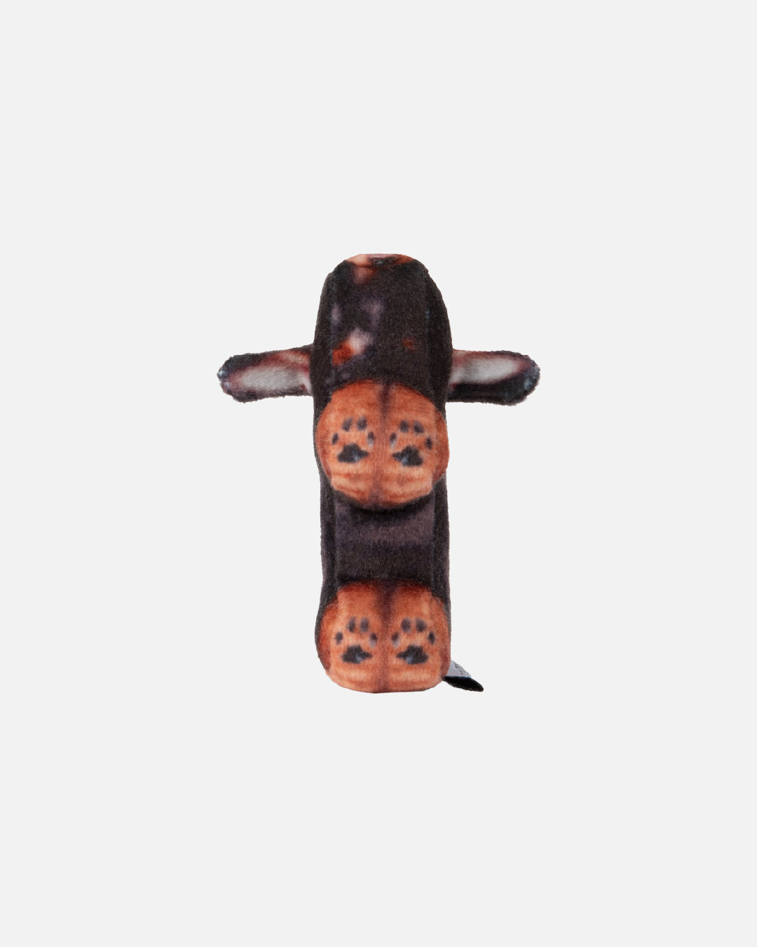 Soft Thumbnail / Duke, Dachshund