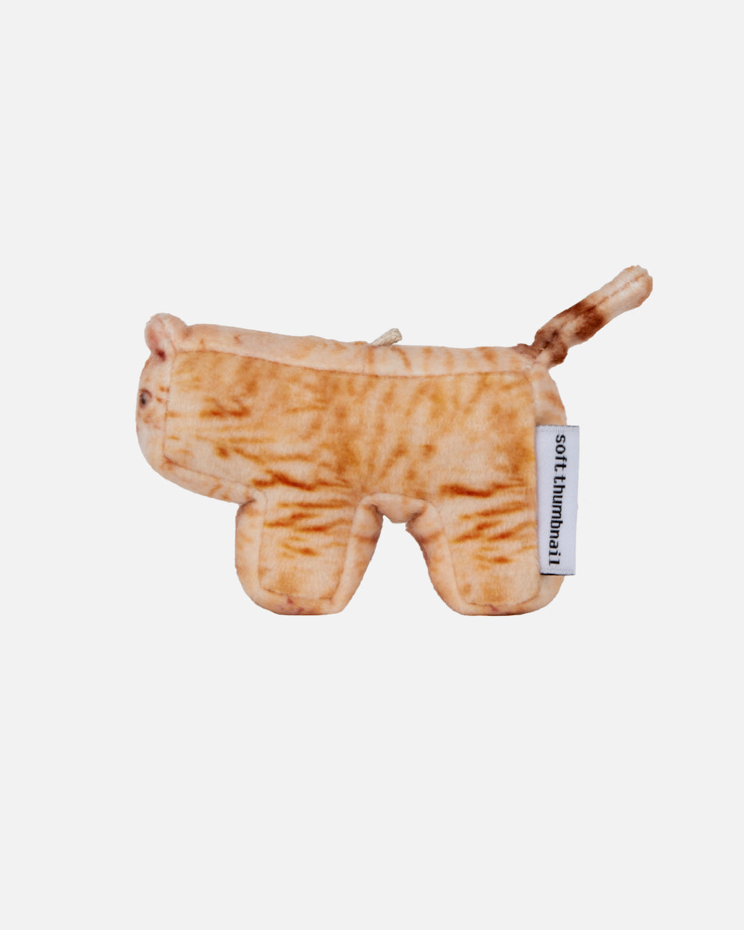 Soft Thumbnail / Cheese, Domestic Shorthair