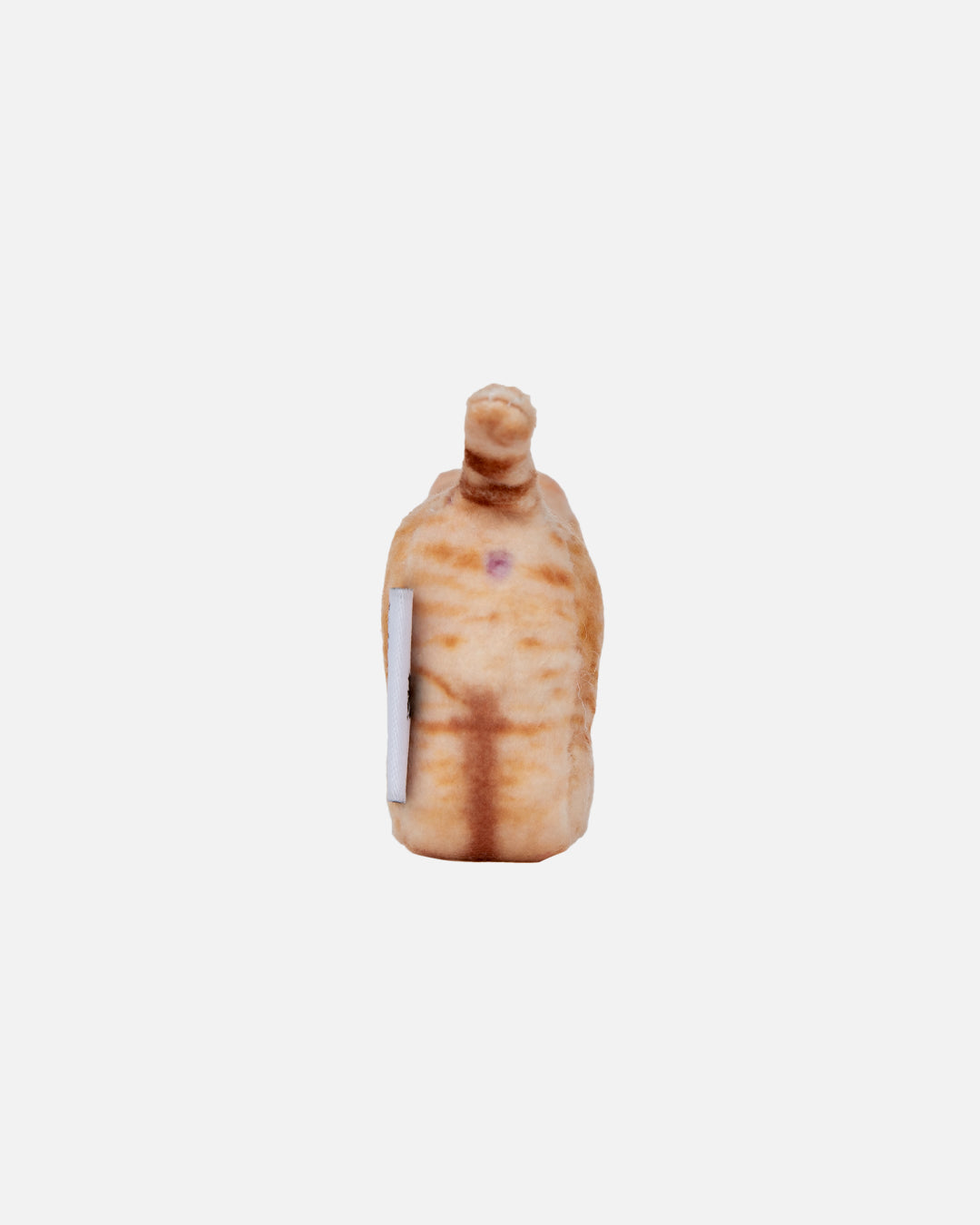 Soft Thumbnail / Cheese, Domestic Shorthair