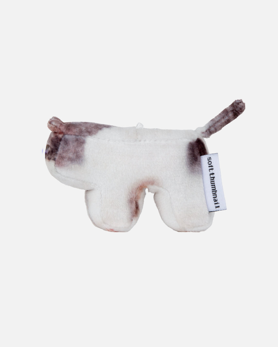Soft Thumbnail / Milk, Domestic Shorthair