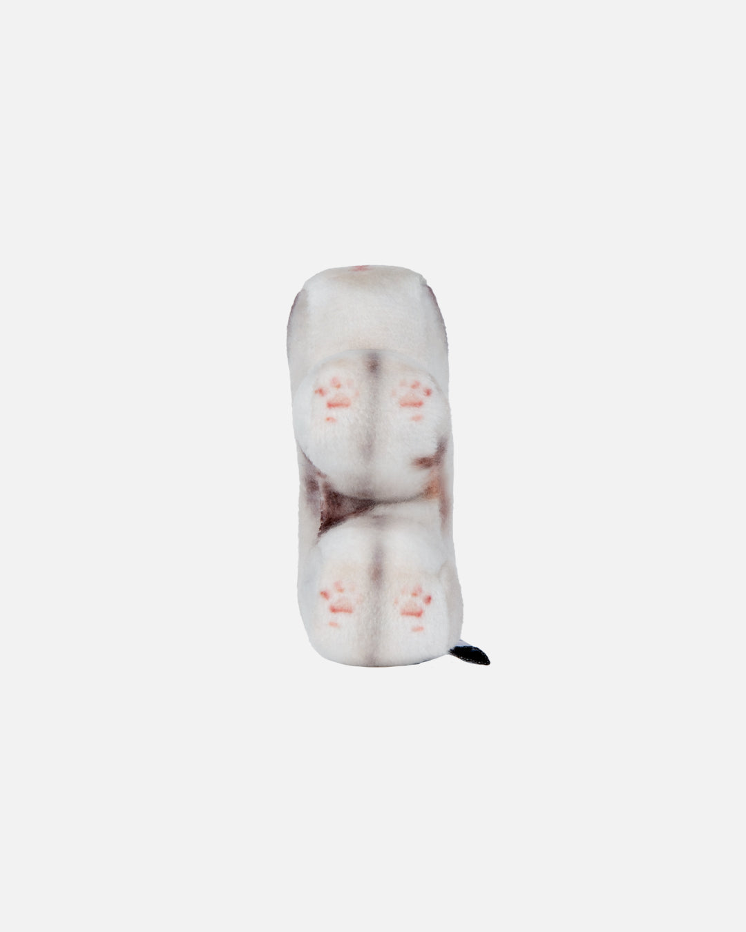 Soft Thumbnail / Milk, Domestic Shorthair