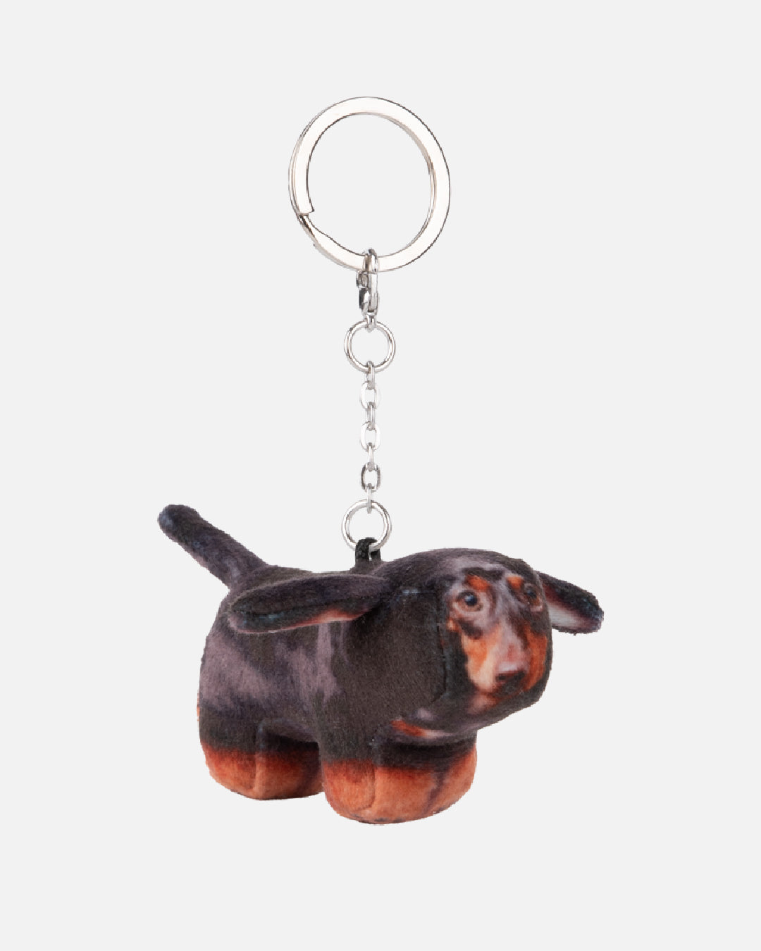 Soft Thumbnail / Duke, Dachshund