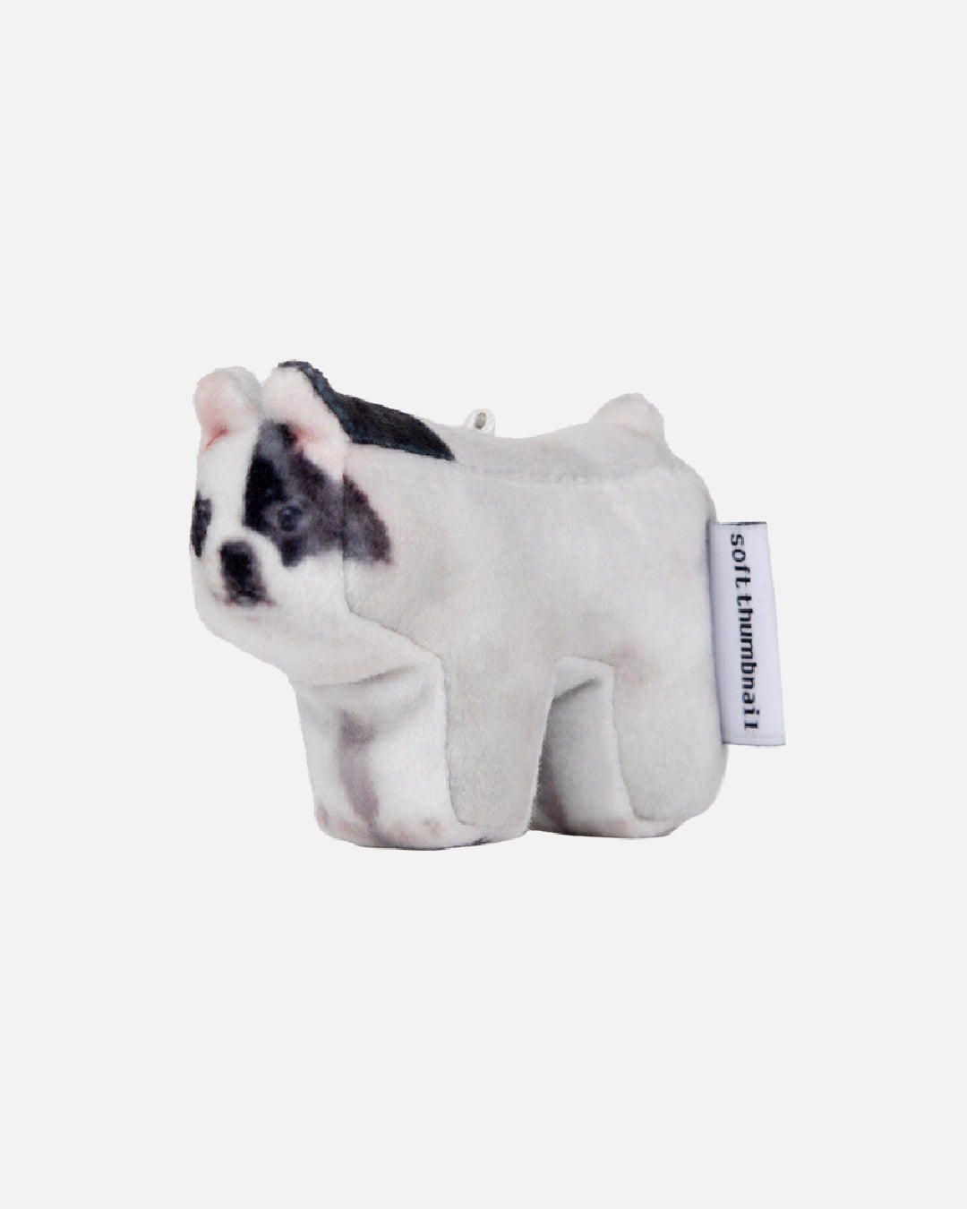 Soft Thumbnail / Rocky, Bulldog