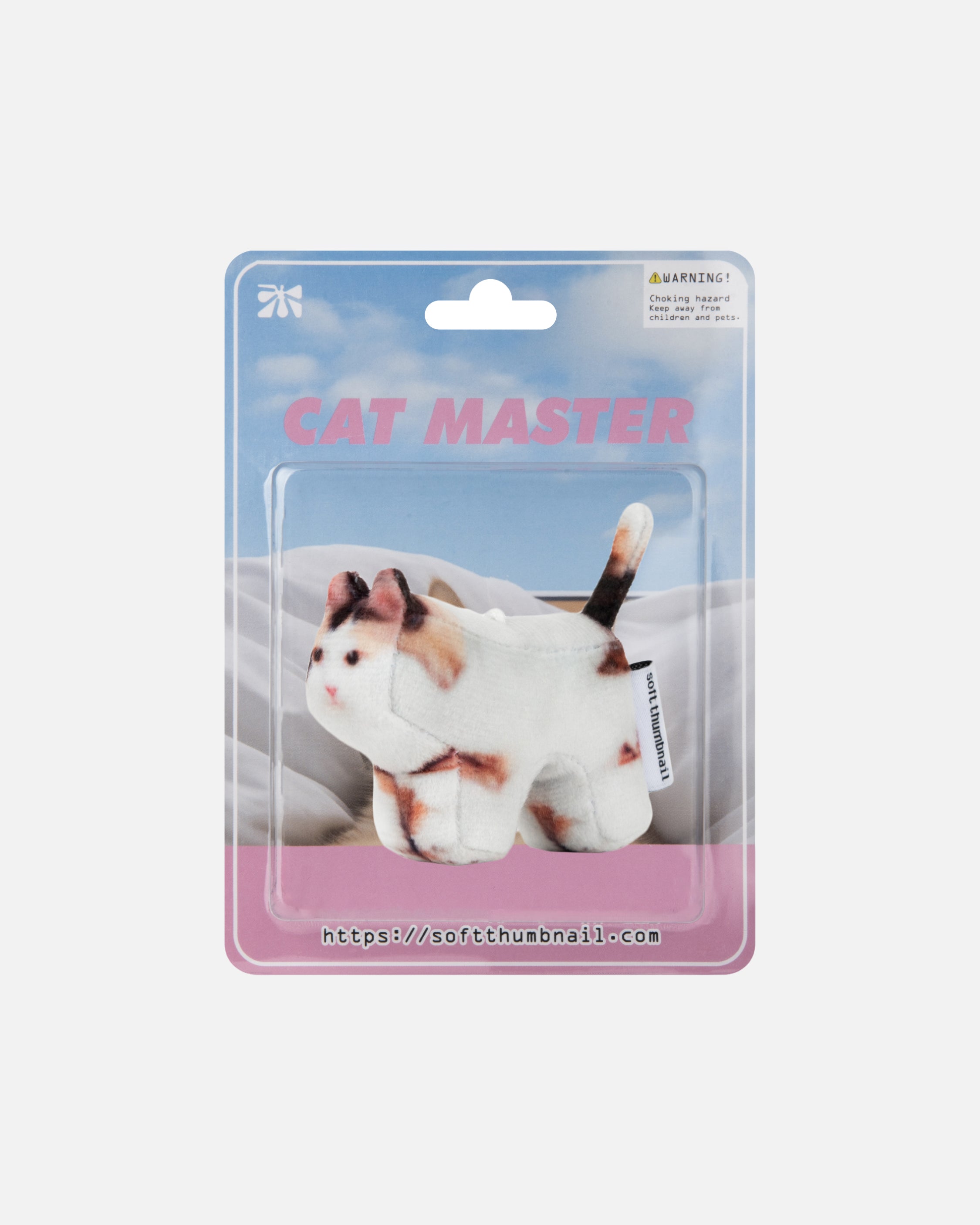 Soft Thumbnail / Jigoo, Domestic Shorthair
