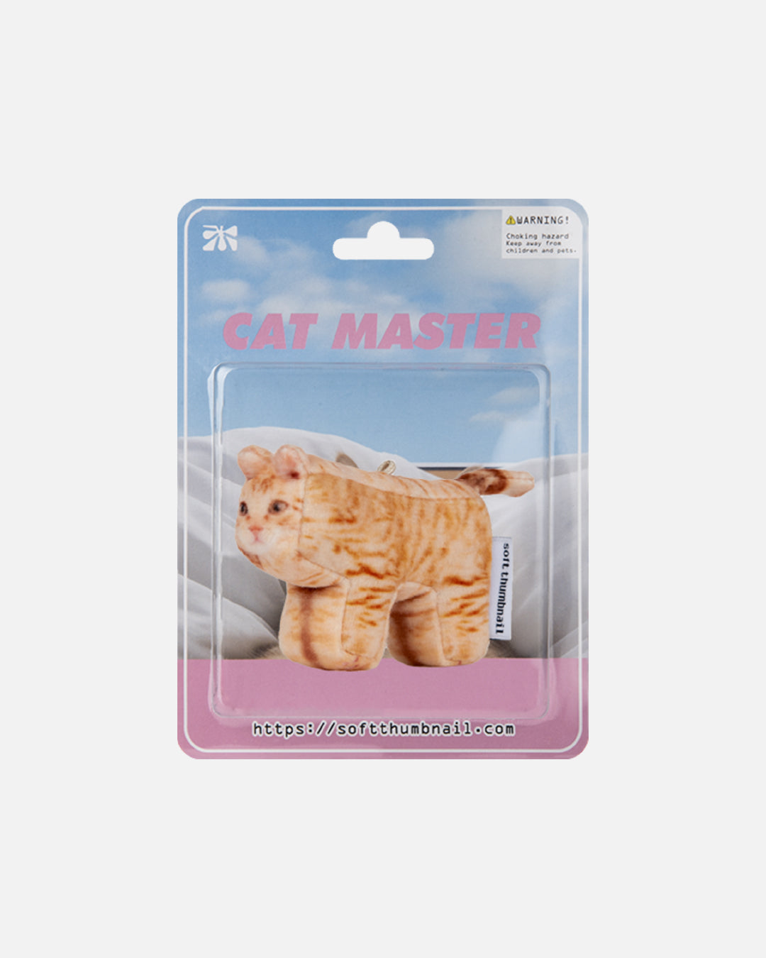 Cheese, Domestic Shorthair