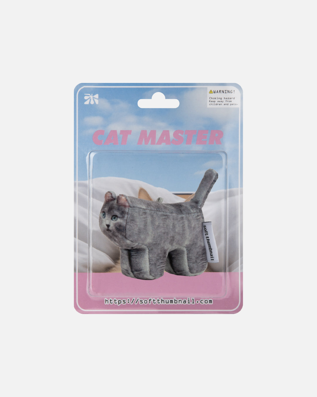 Jigoo, Domestic Shorthair