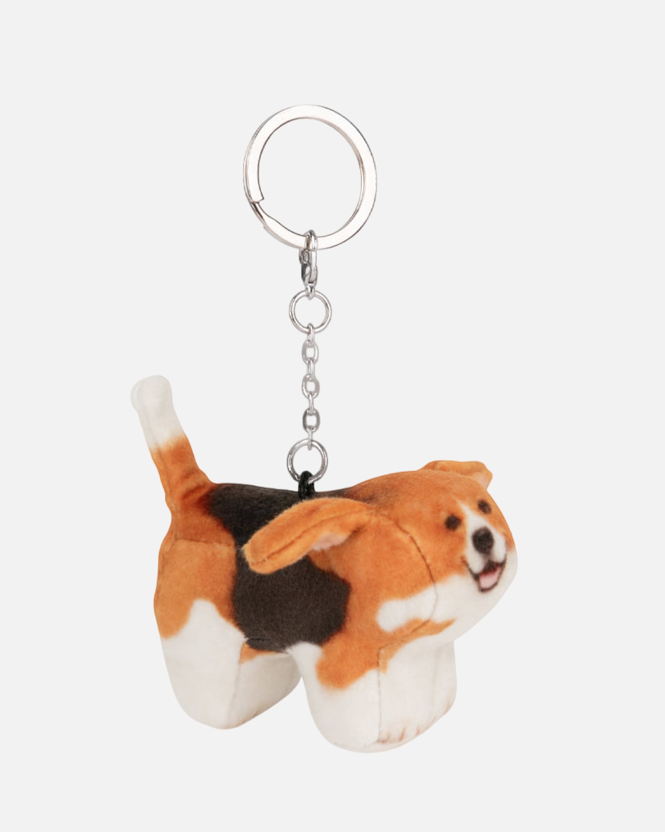 Soft Thumbnail / Tori, Beagle