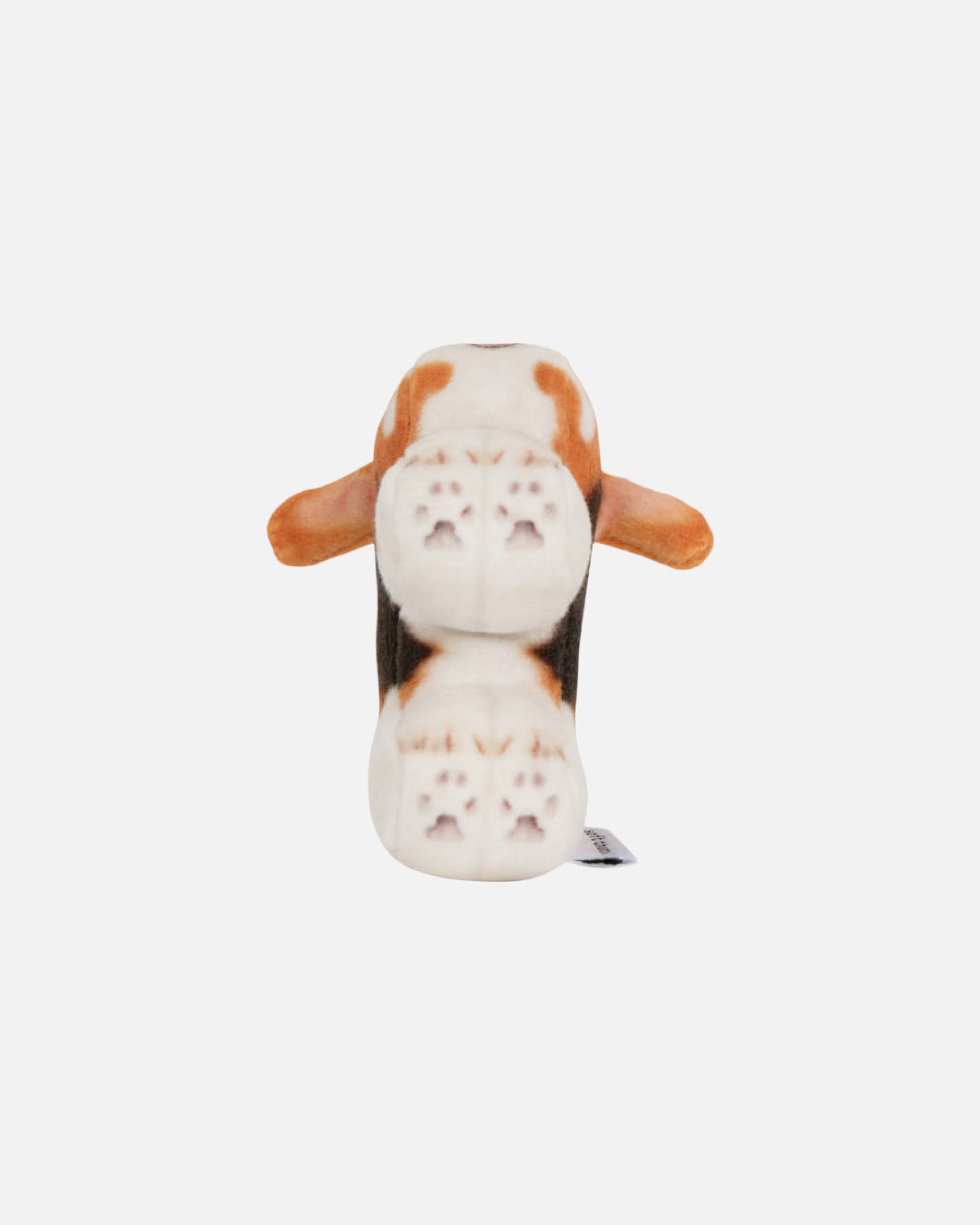 Soft Thumbnail / Tori, Beagle
