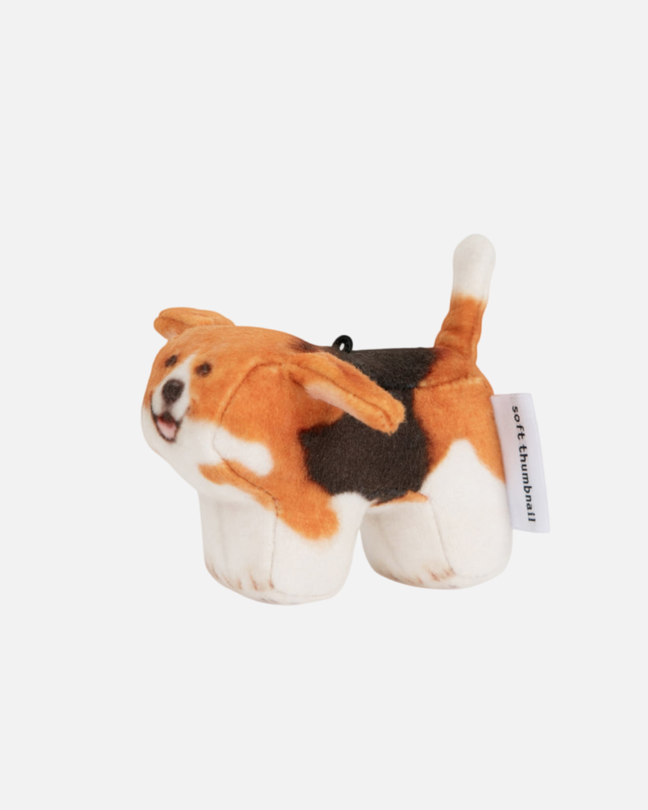 Soft Thumbnail / Tori, Beagle
