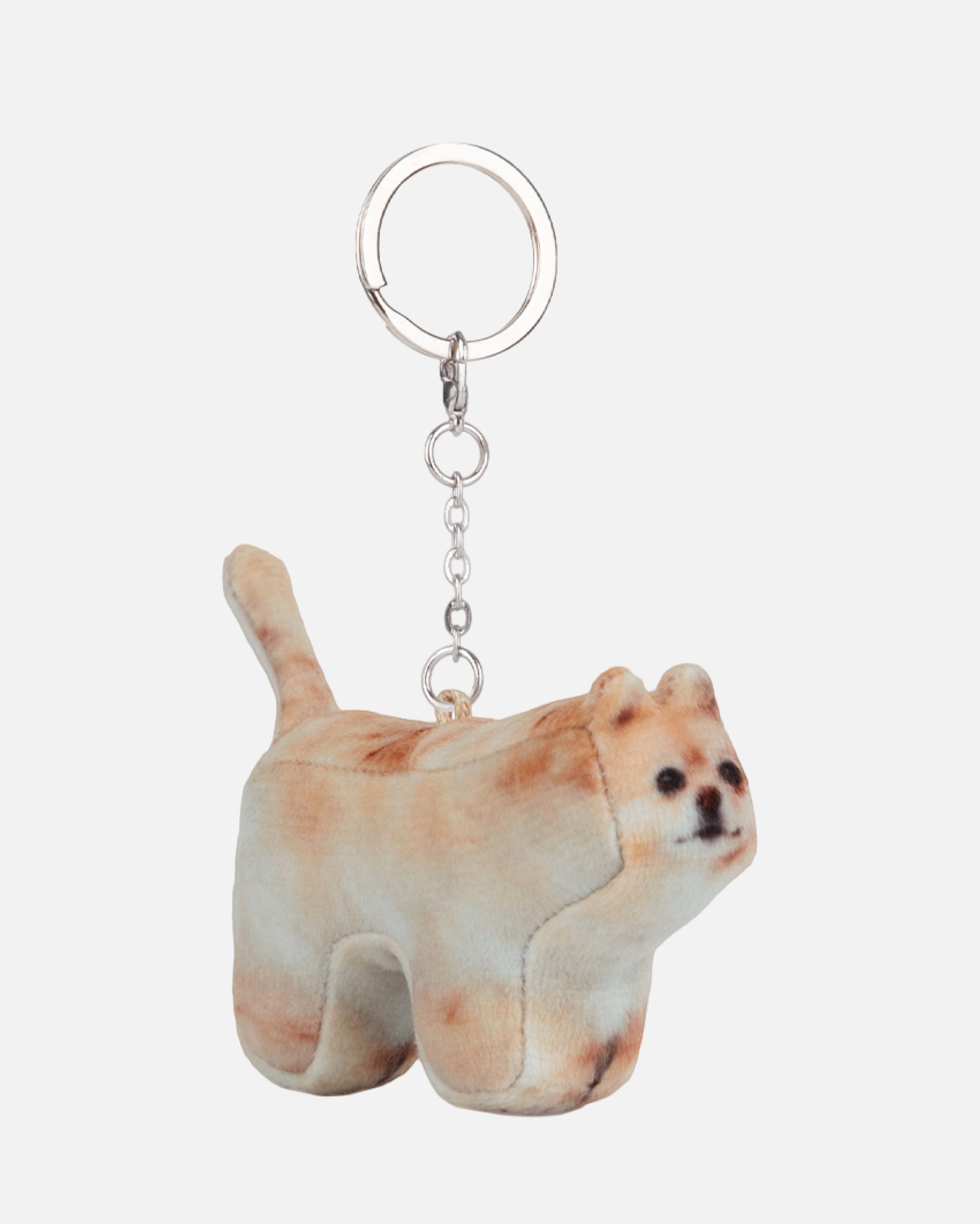 Soft Thumbnail / Jeolmi, Pomeranian