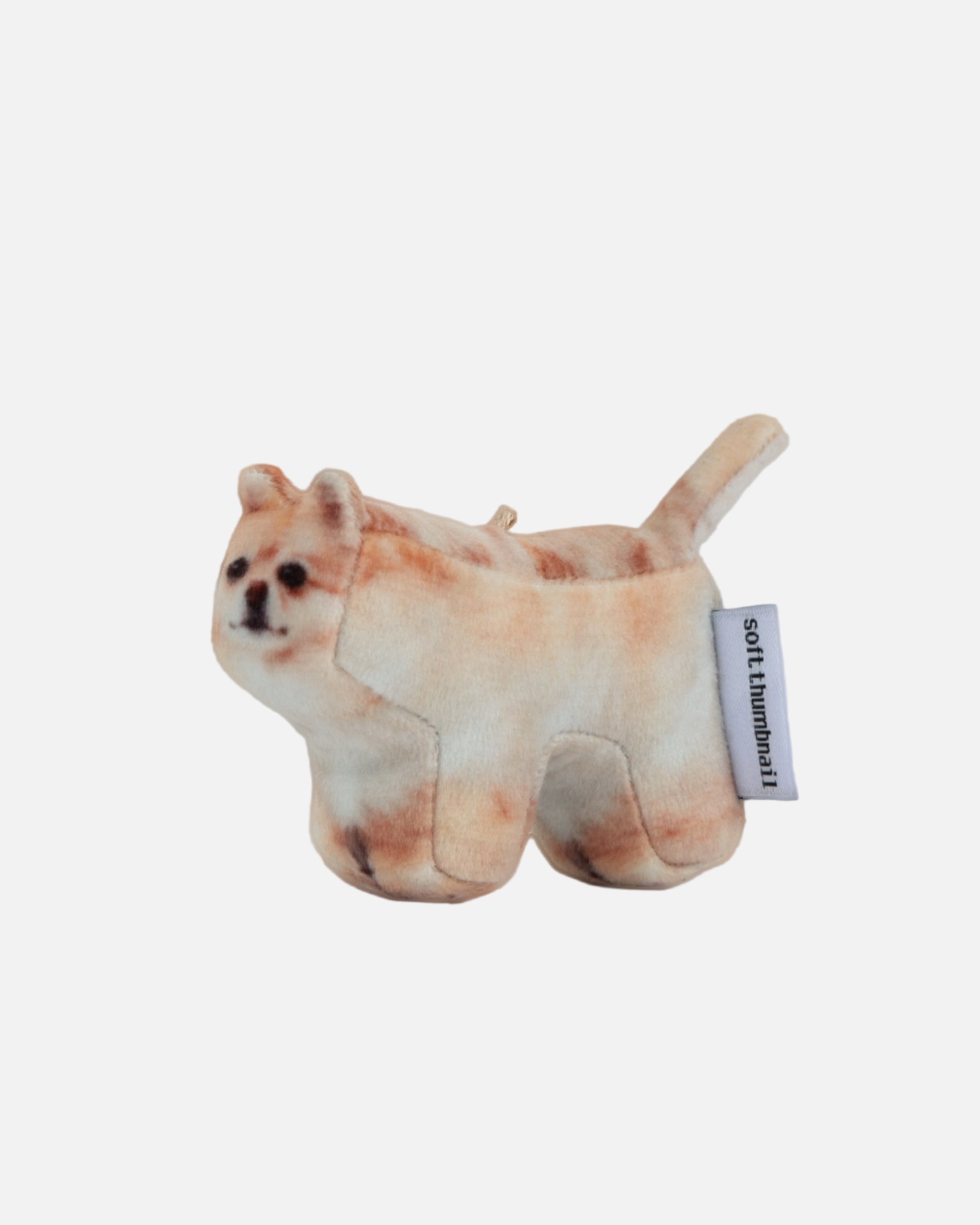 Soft Thumbnail / Jeolmi, Pomeranian