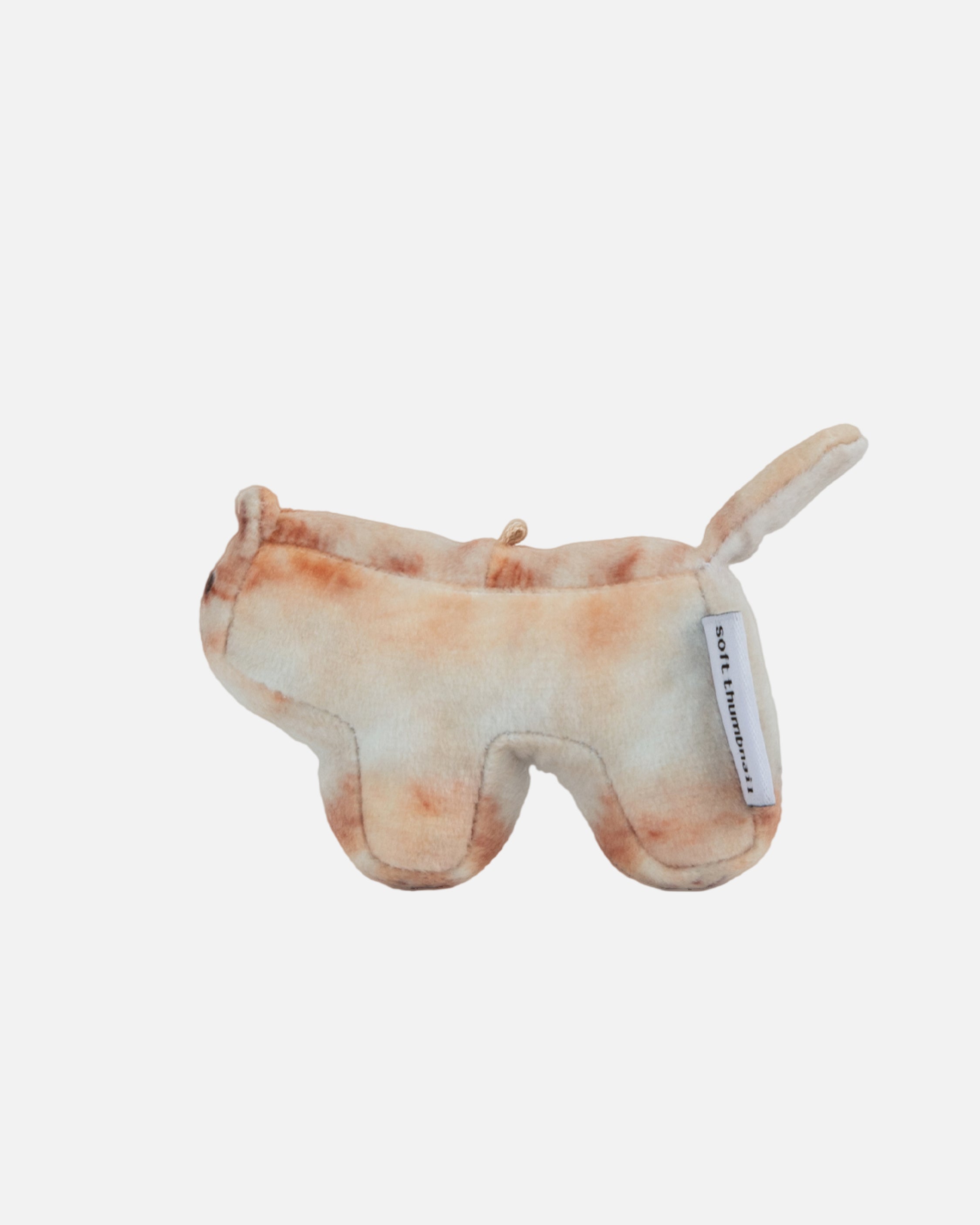 Soft Thumbnail / Jeolmi, Pomeranian