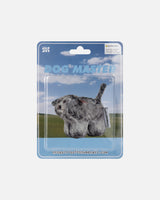 Soft Thumbnail / Kiki, Poodle
