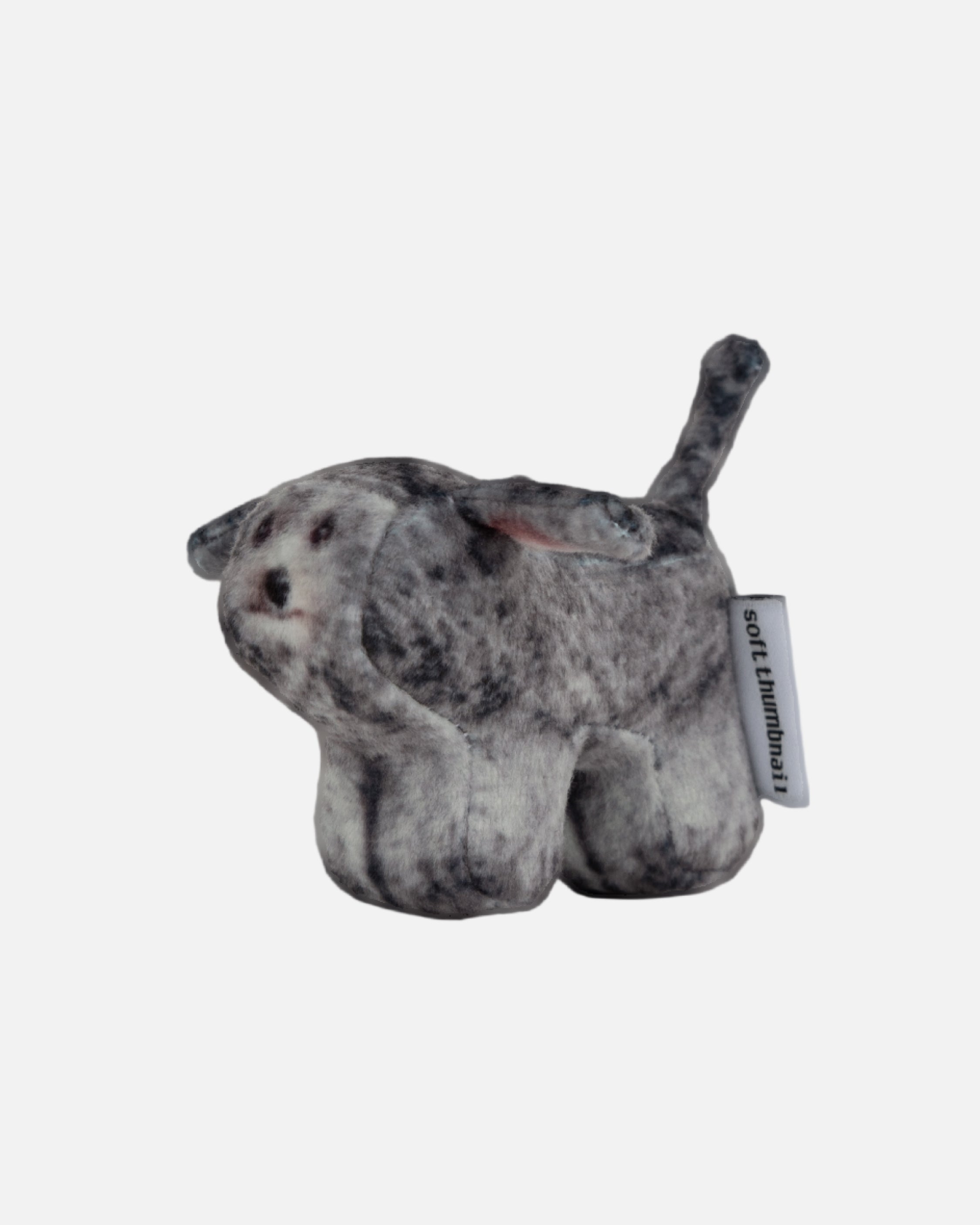 Soft Thumbnail / Kiki, Poodle