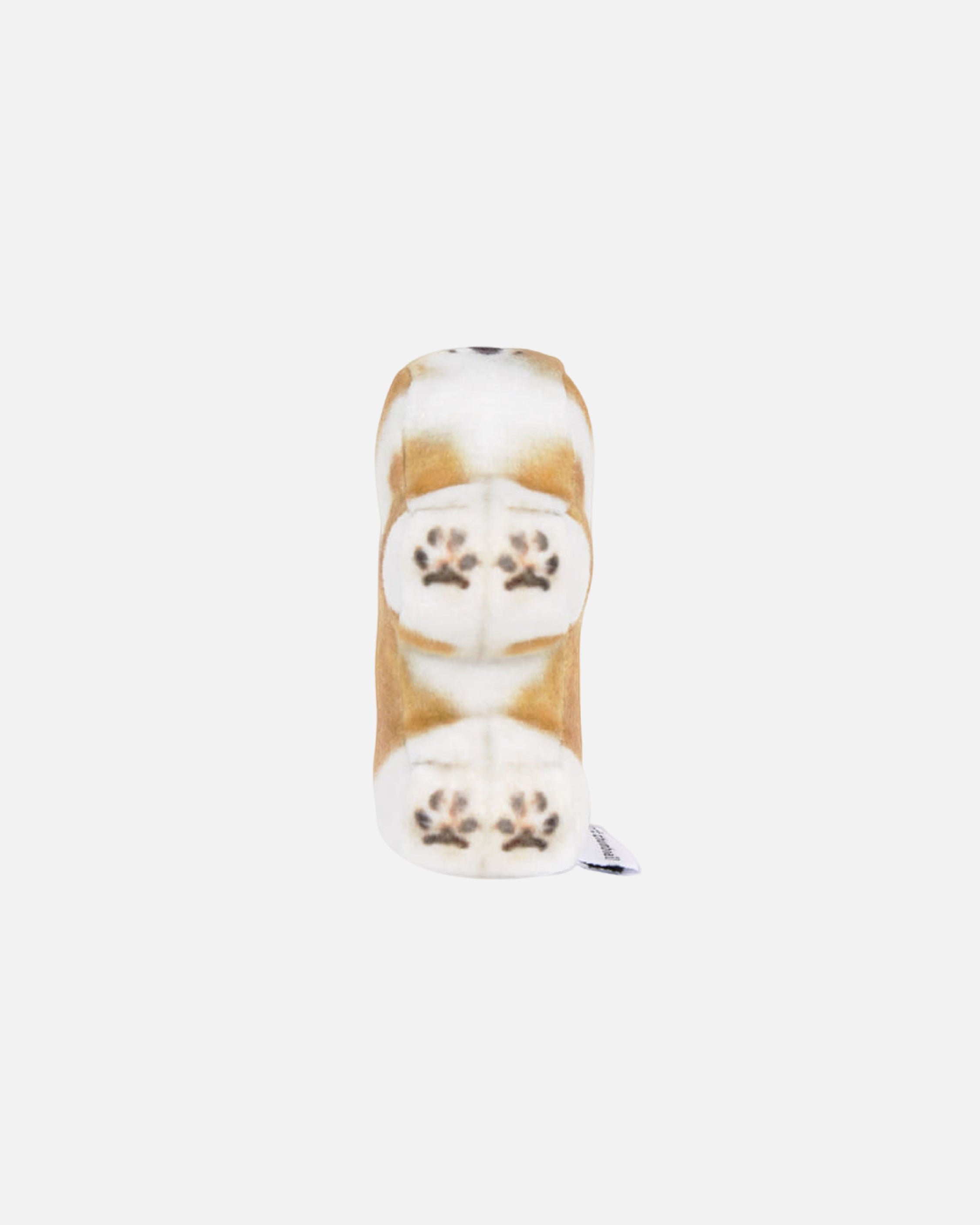 Soft Thumbnail / Moongchi, Welsh Corgi