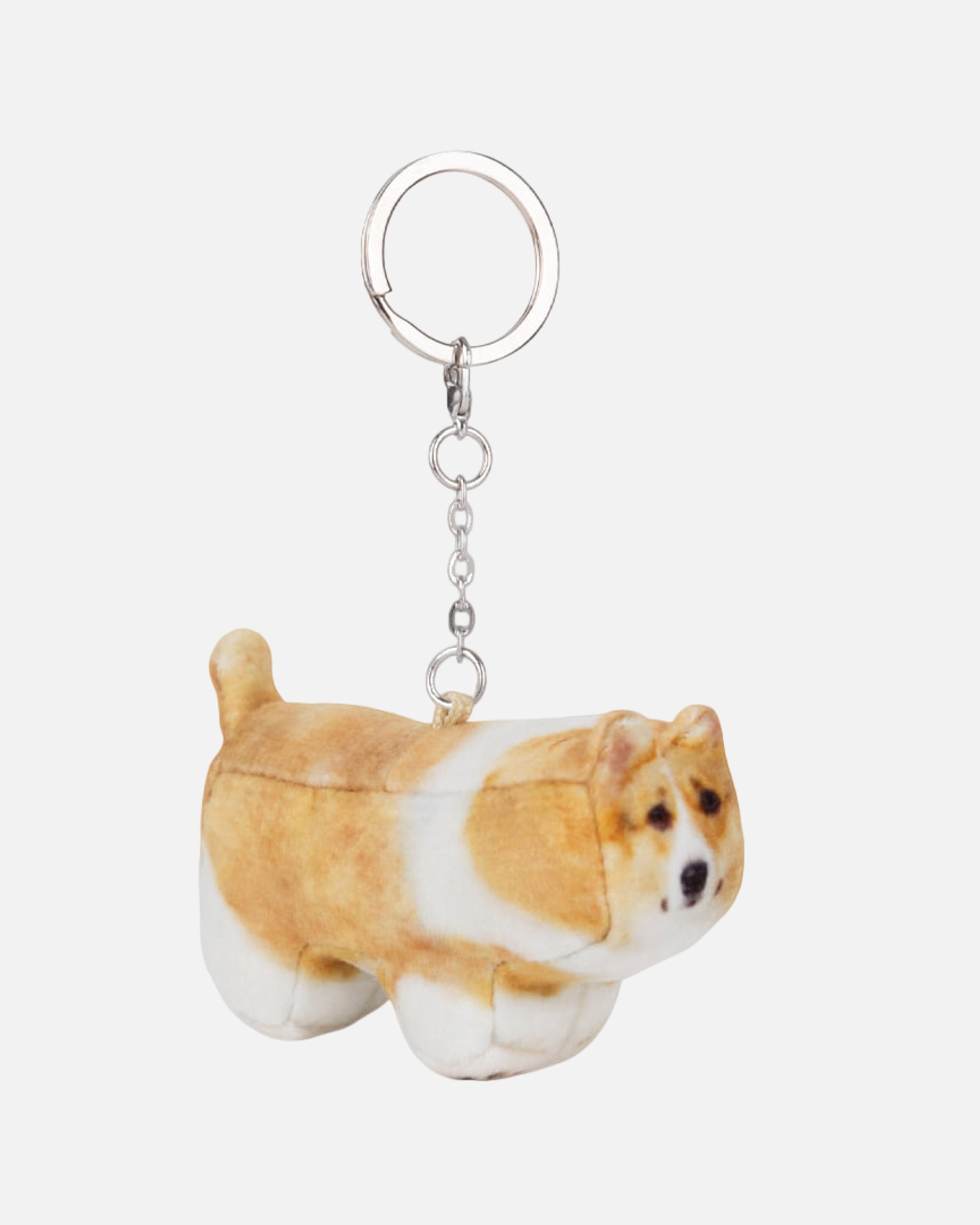 Soft Thumbnail / Moongchi, Welsh Corgi