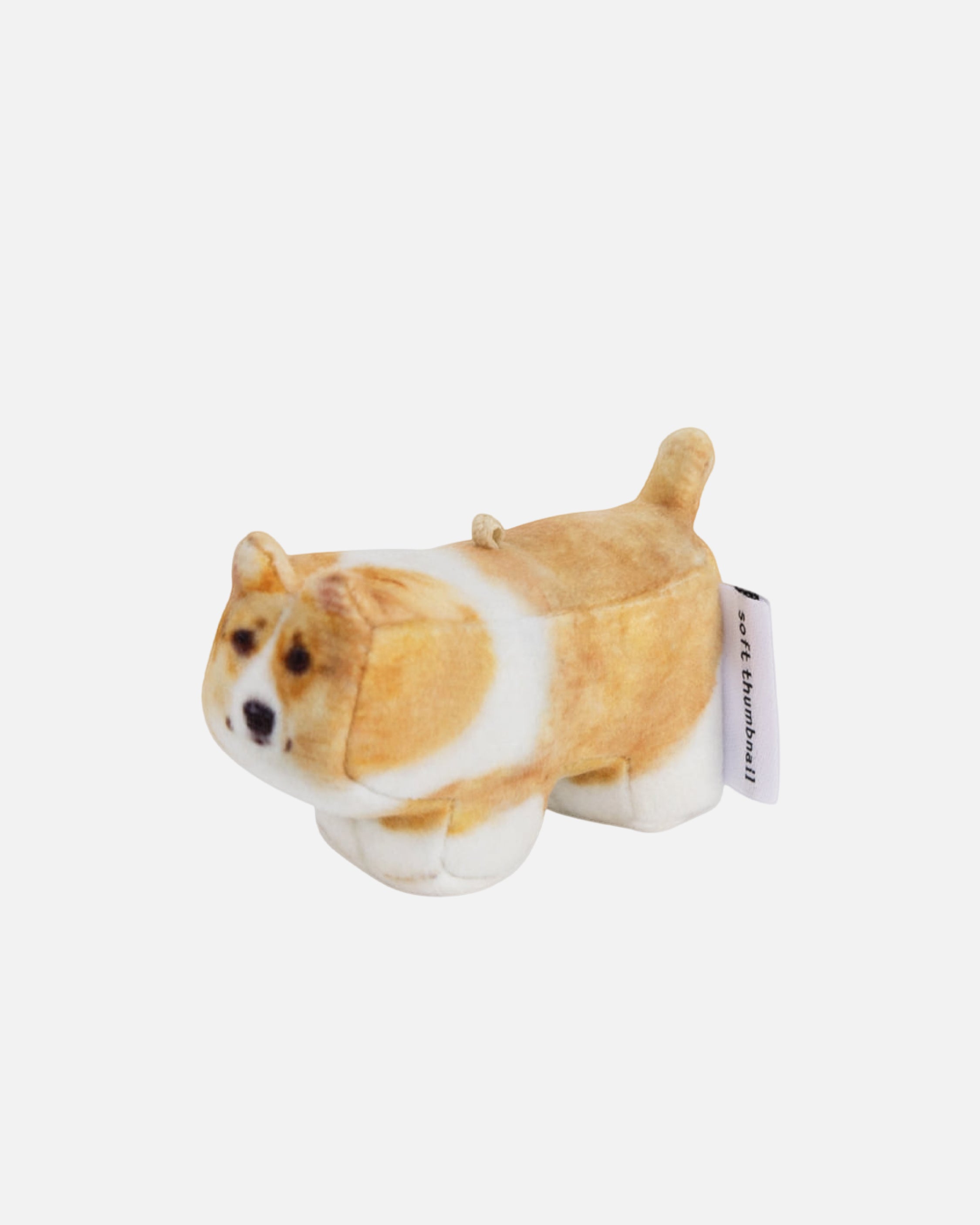 Soft Thumbnail / Moongchi, Welsh Corgi