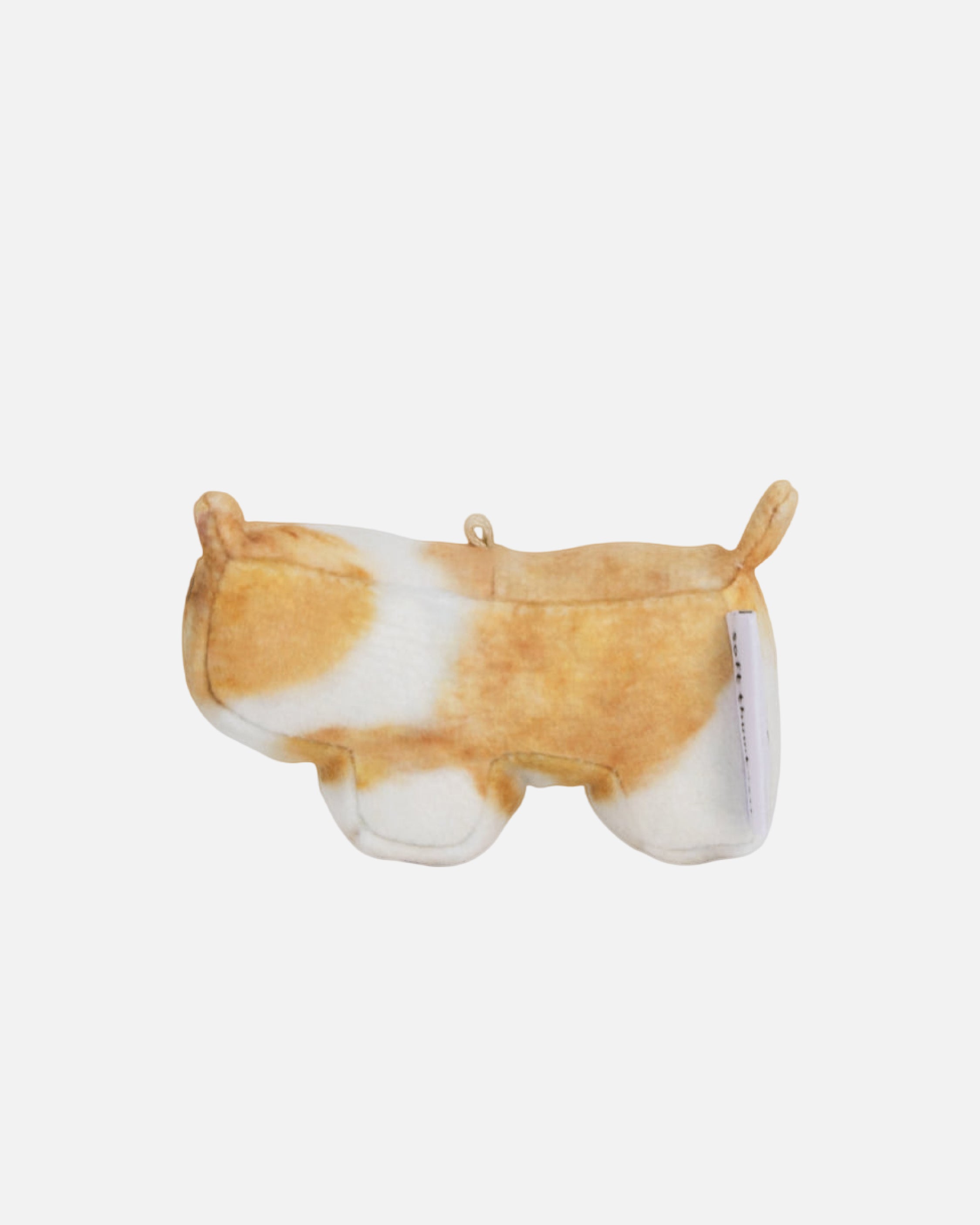 Soft Thumbnail / Moongchi, Welsh Corgi